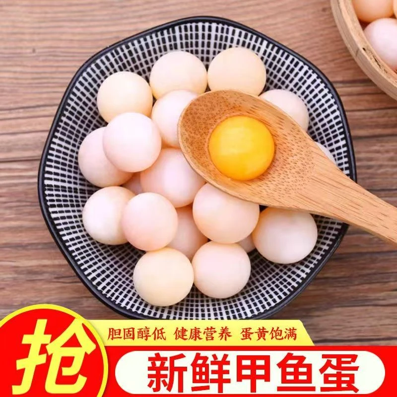 新鲜食用甲鱼蛋老憋蛋宝宝老人辅食100枚送20枚 食谱+卤料包