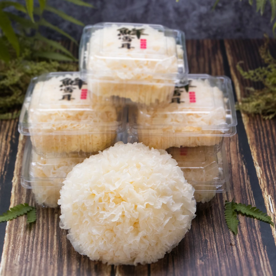 福建古田新鲜银耳大朵活耳到手1斤