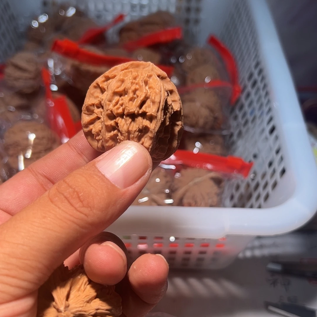 文玩核桃，福利白狮子