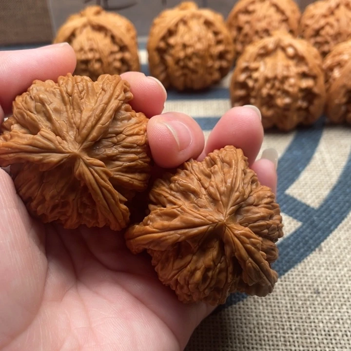 海***核桃白狮子43核桃