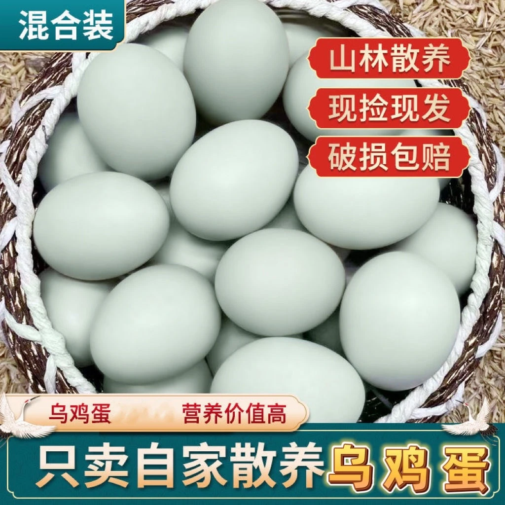 农家散养乌鸡蛋 谷物鲜土鸡蛋乌鸡鸡蛋50枚