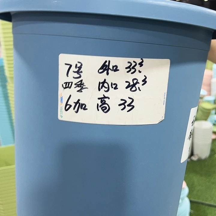 特价7四季口33高33雾霾蓝无托6只