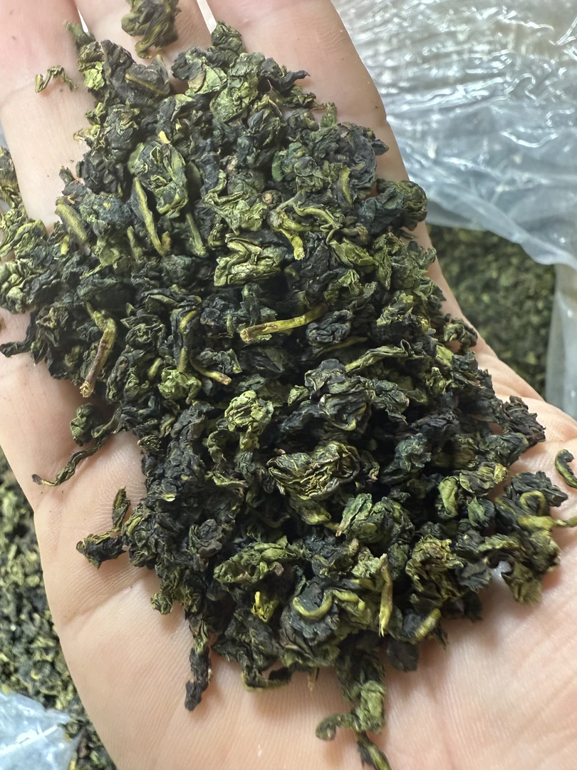 高山铁观音  特色农产品