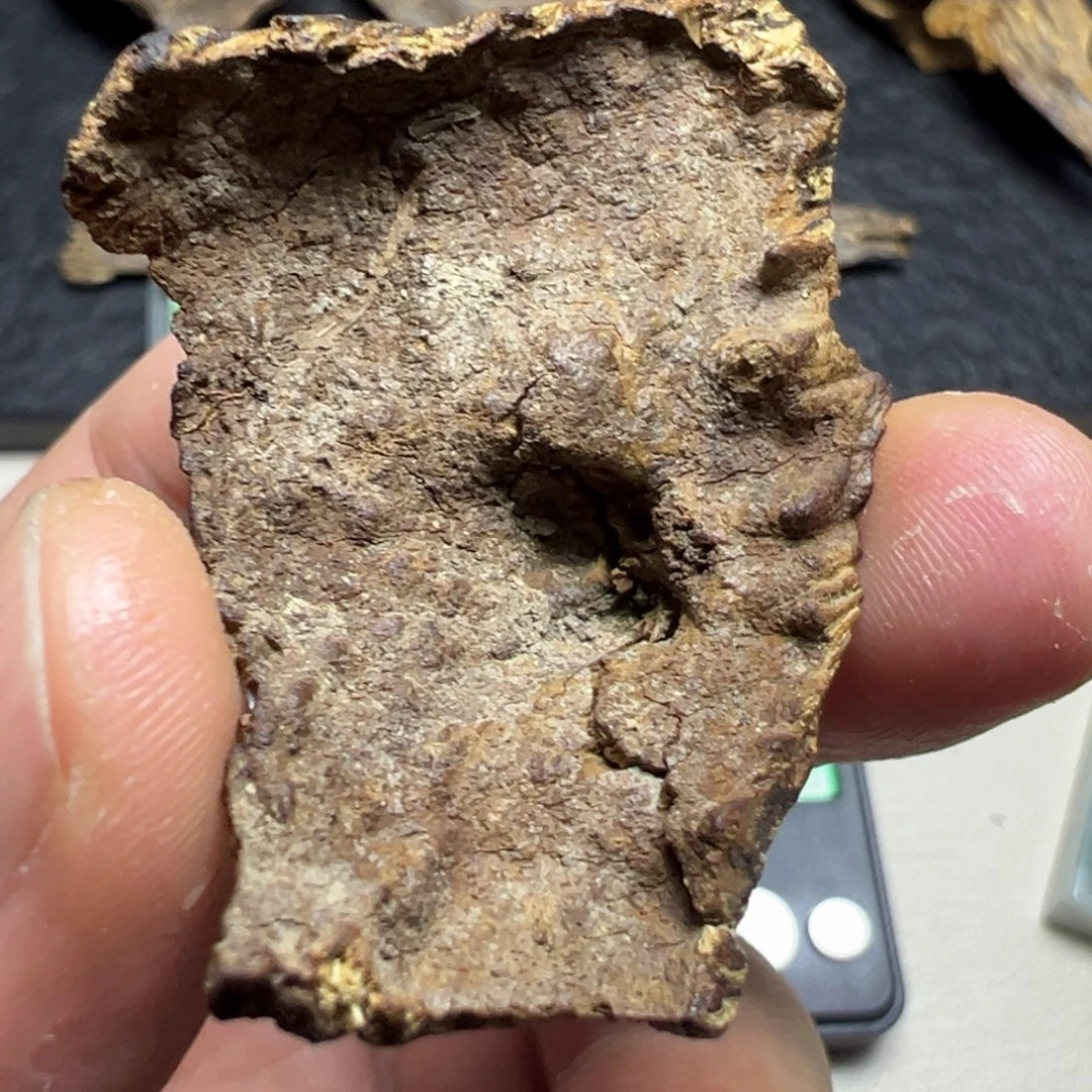 神***光沉香碎屑沉香海南沉水包头3.96g