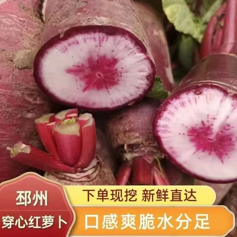 农家新鲜现拔现发甜脆多汁穿心红萝卜水果萝卜