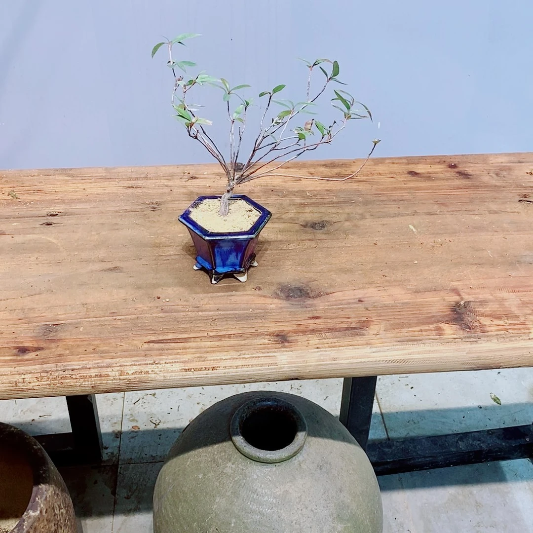 哦*我的心好痛啊我的心