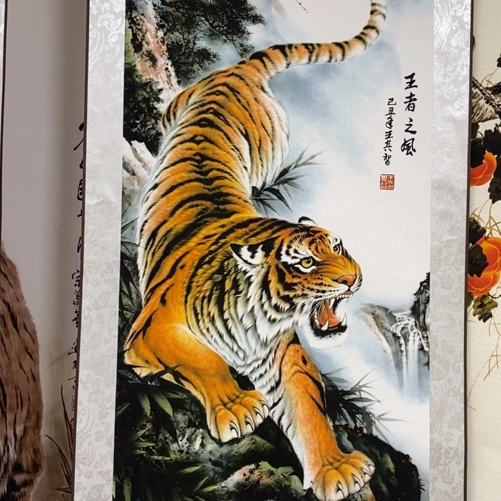 竖款广东的v宝贝vvv