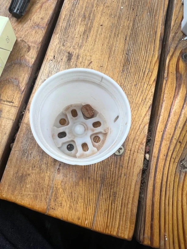 吧啦水泡多肉植物