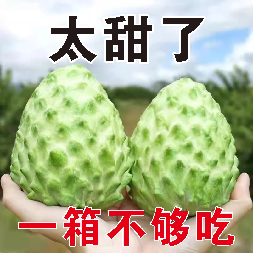 云南牛奶释迦果新鲜当季水果凤梨番荔枝摩尼大果非台湾佛头果整箱