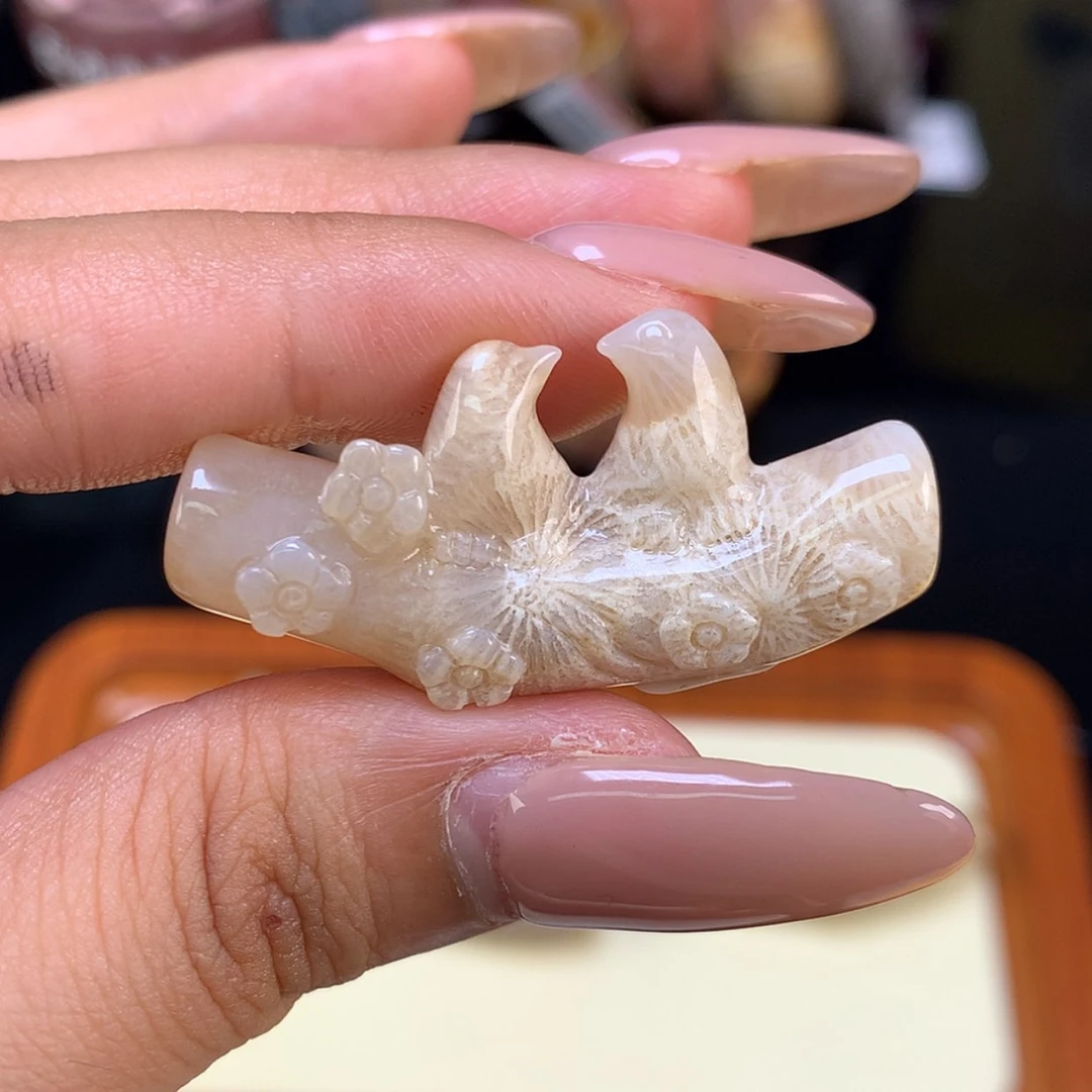 【闪购商品】颈饰未镶嵌硅化珊瑚（珊瑚玉）温**゛
