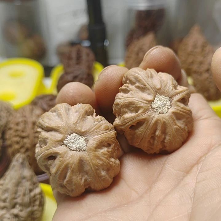 文玩核桃把件东北野生大楸子包子