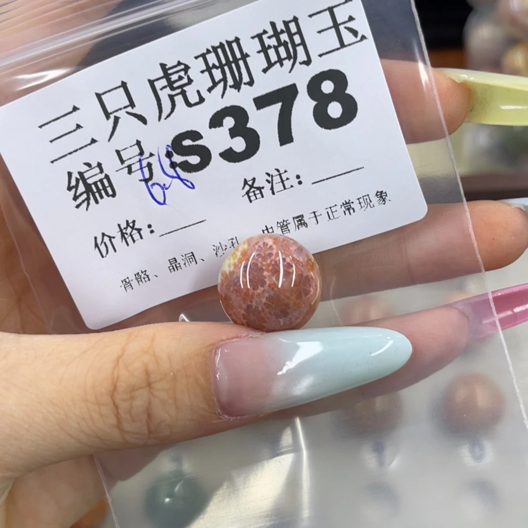 会***喵硅化珊瑚（珊瑚玉）h银S925镀金镶嵌