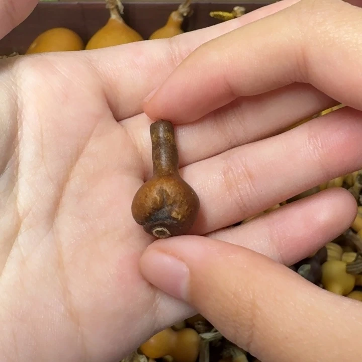 葫芦葫芦葫芦不包邮