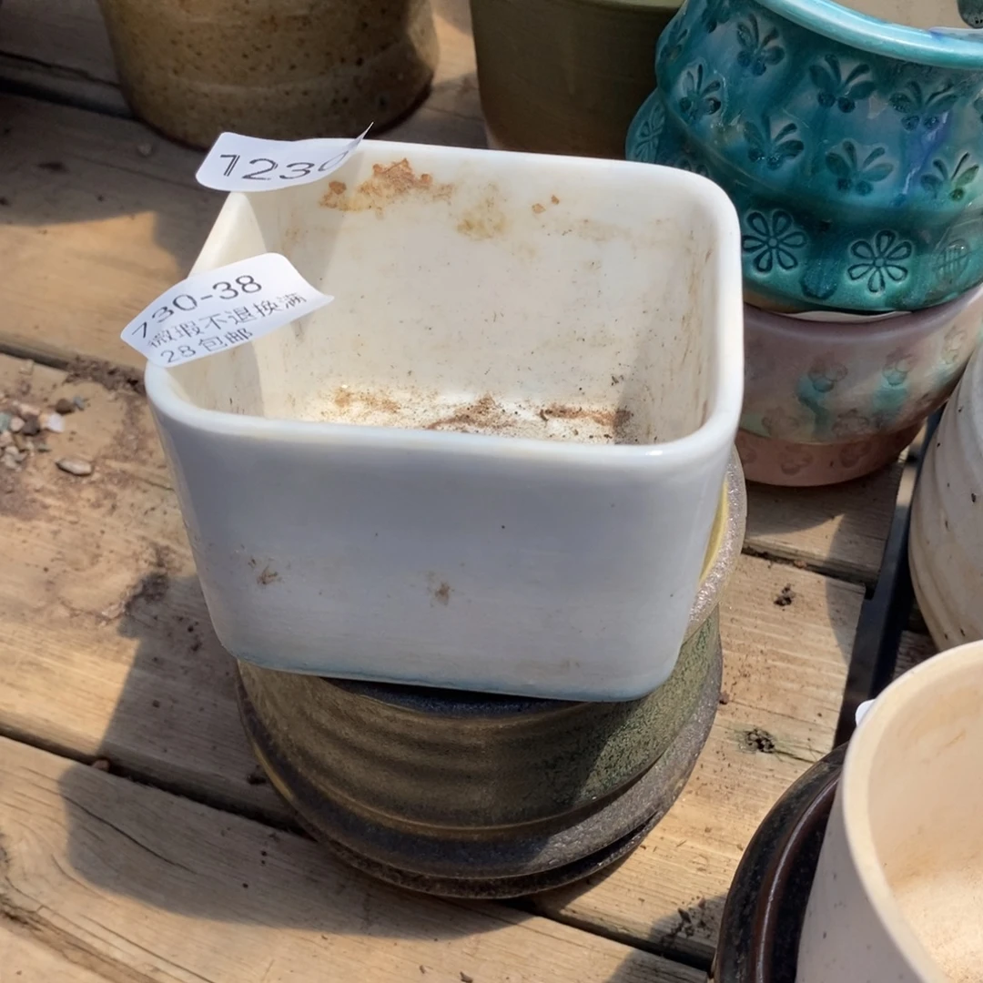 38号多肉盆口径8小可爱