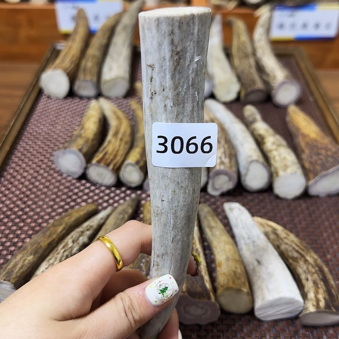 手串/手链鹿骨角尖3066