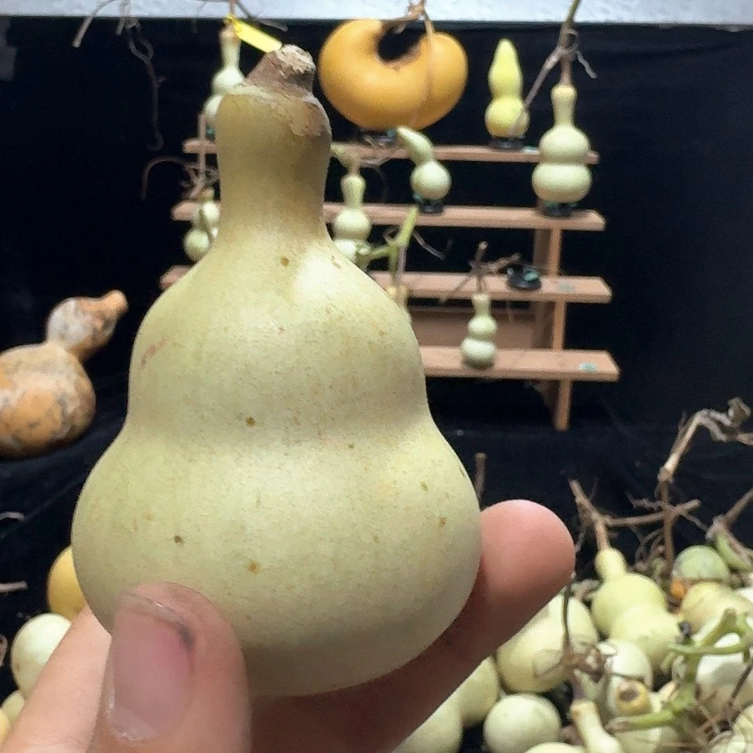 人***天八宝定向定向定向