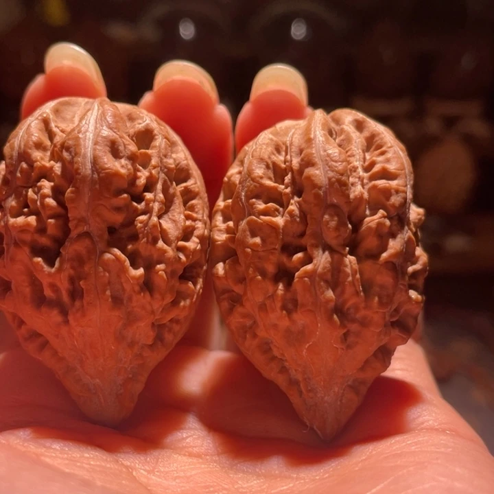 文玩核桃吊坠我****蝶小蜥蜴塔19