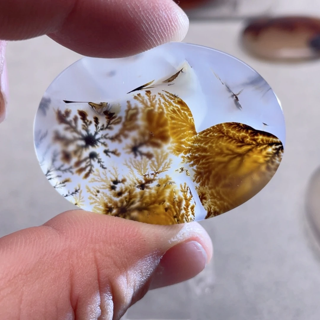 【闪购商品】玛瑙/玉髓颈饰合金