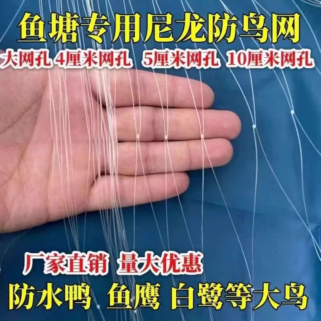 鱼塘防鸟大棚果园泥鳅青蛙白鹭养殖乌鸦天网防护网尼龙池塘防鸟网