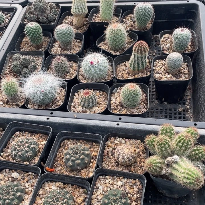 浮***光00000000000000000000