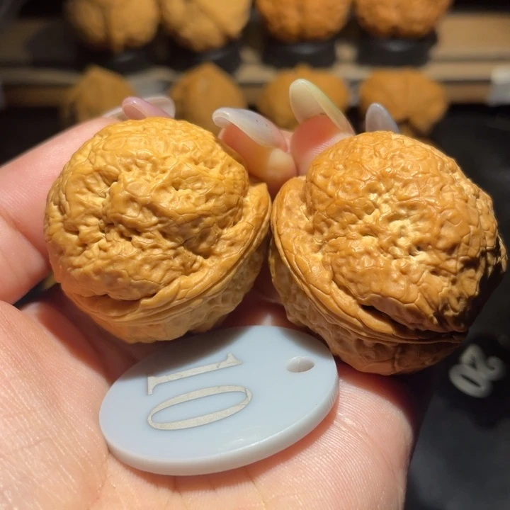帝王蟾39尺寸核桃