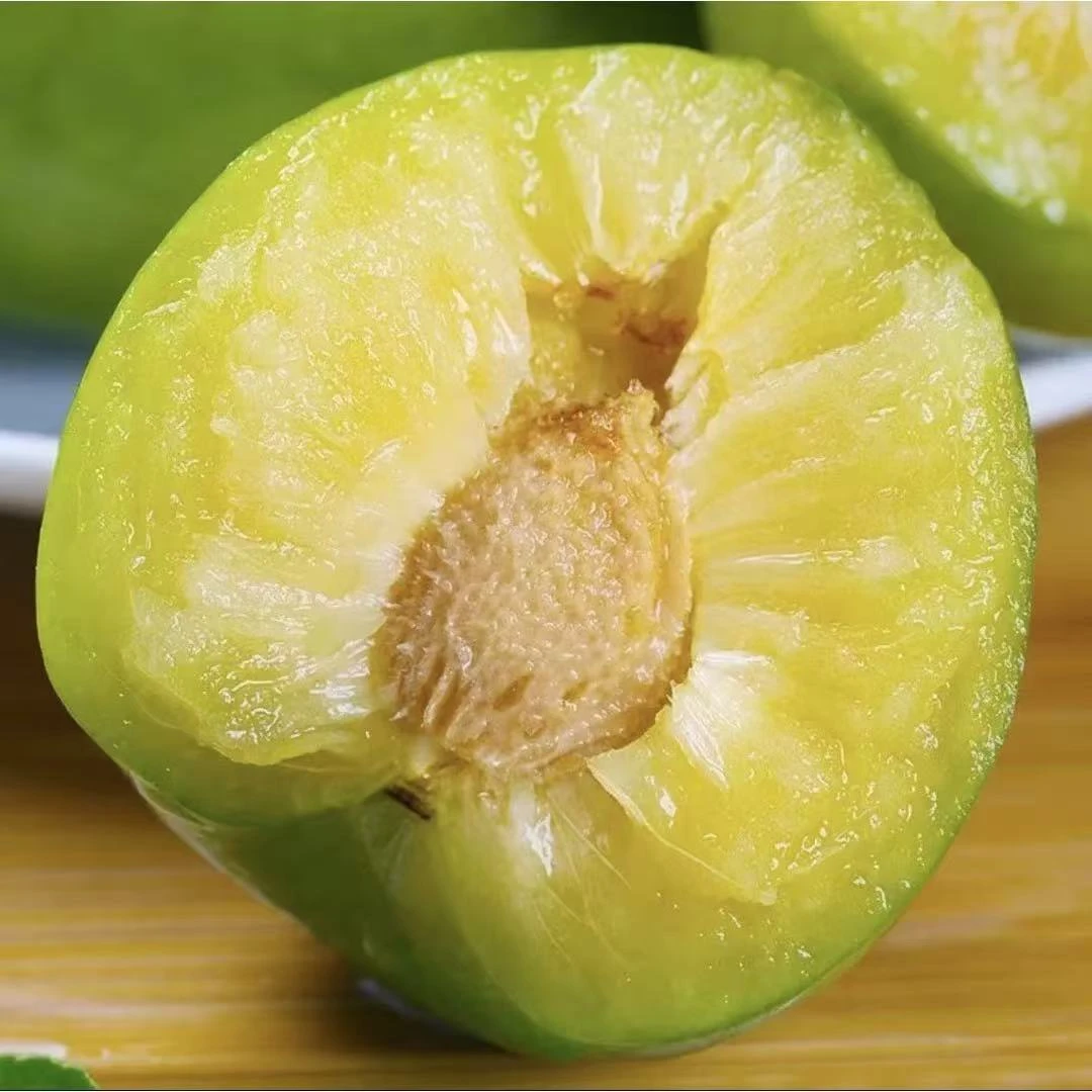 正宗脱骨青脆李新鲜水果树上熟应季美味5斤X