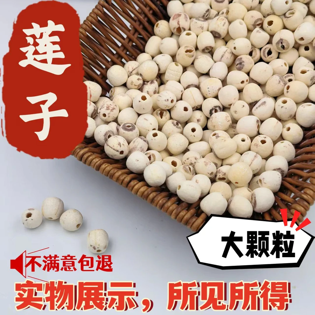 【新莲上市】2025年新鲜莲子 去芯磨皮口感粉糯易煮烂煲汤久煮不糊