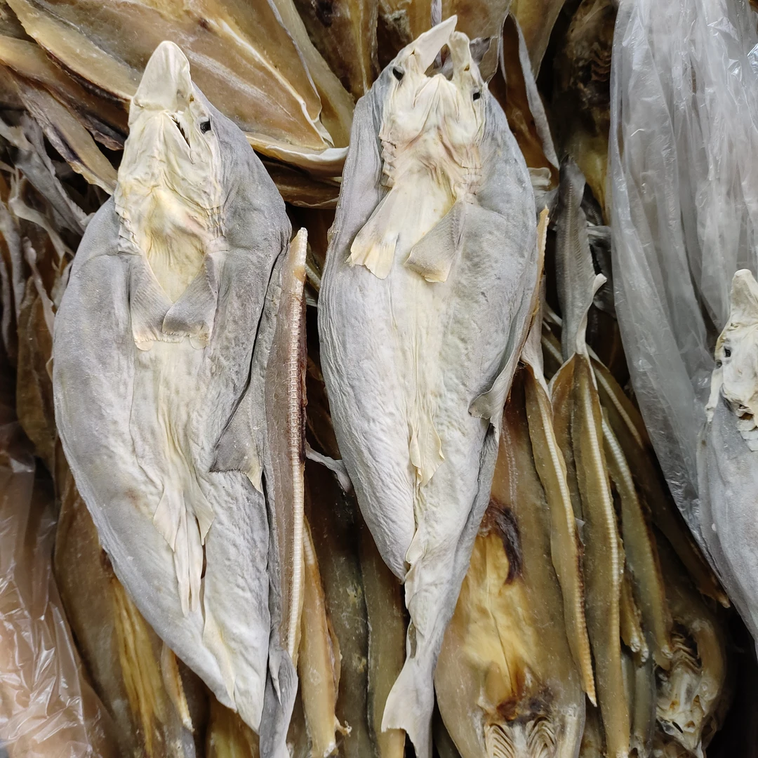 广西北海特产鲨鱼干咸鱼干渔民自晒淡干海鱼海产干货软骨无刺