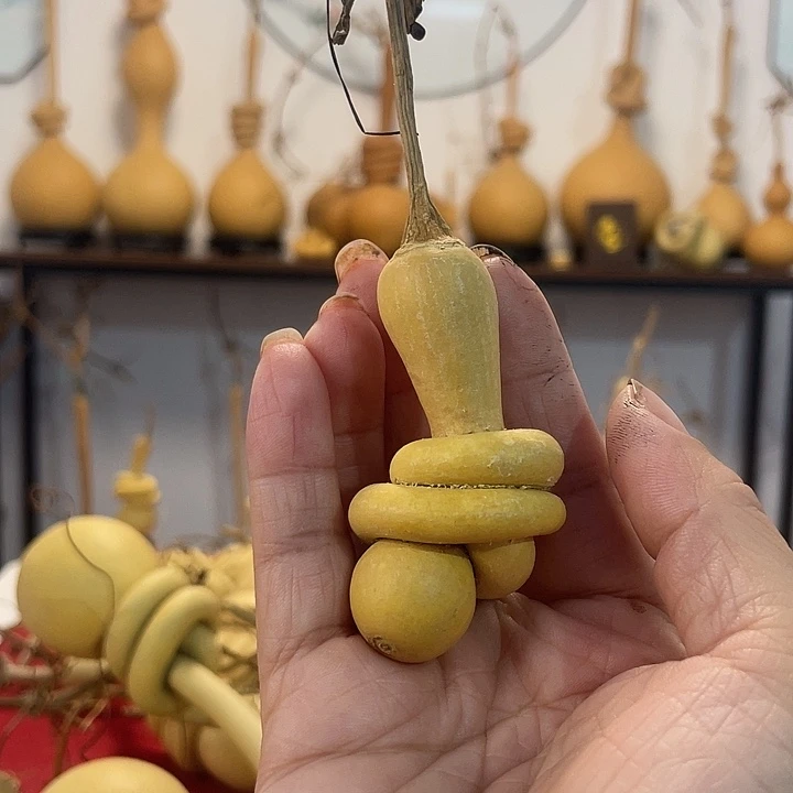 大叶紫檀（黑酸枝木类）丽*