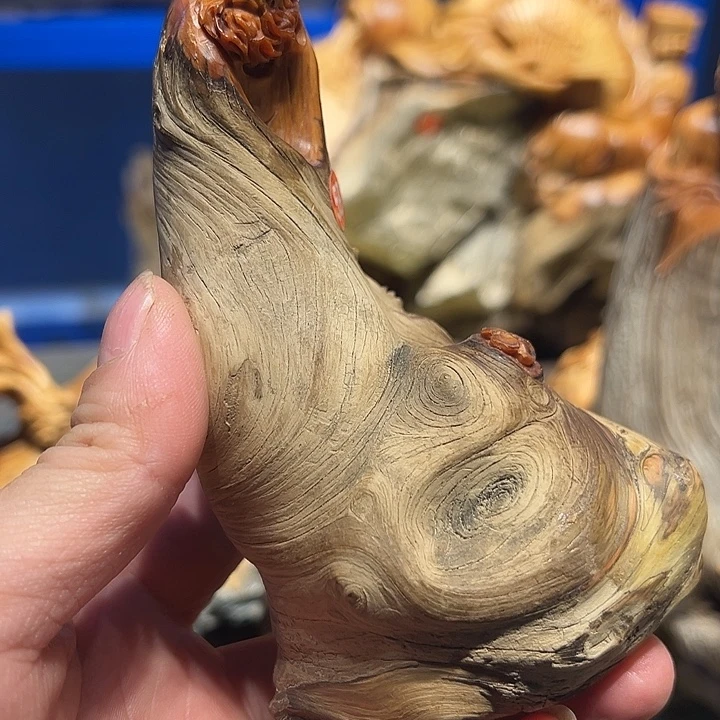 海***川崖柏太行崖柏工艺品把件