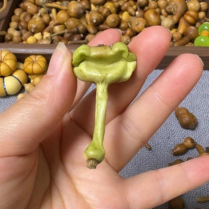 鼠*弟我的小可爱们都好可爱啊