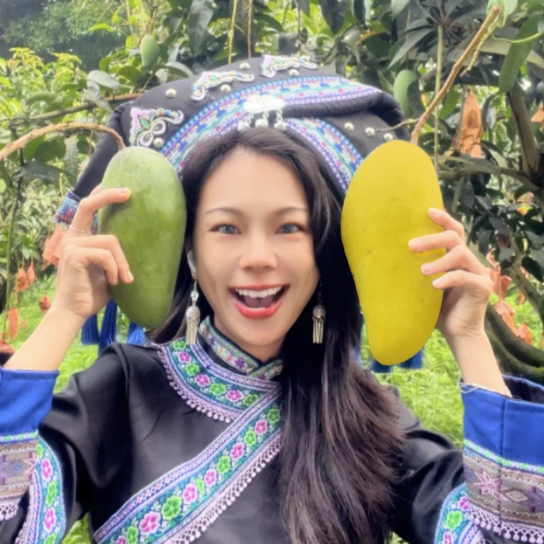 【靓女自家】金金灿灿黄皮金煌芒广西金煌芒金黄芒