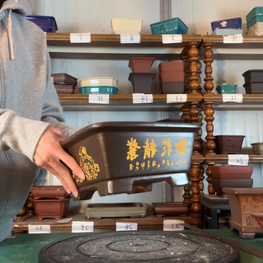 需提供高纯度高飞的