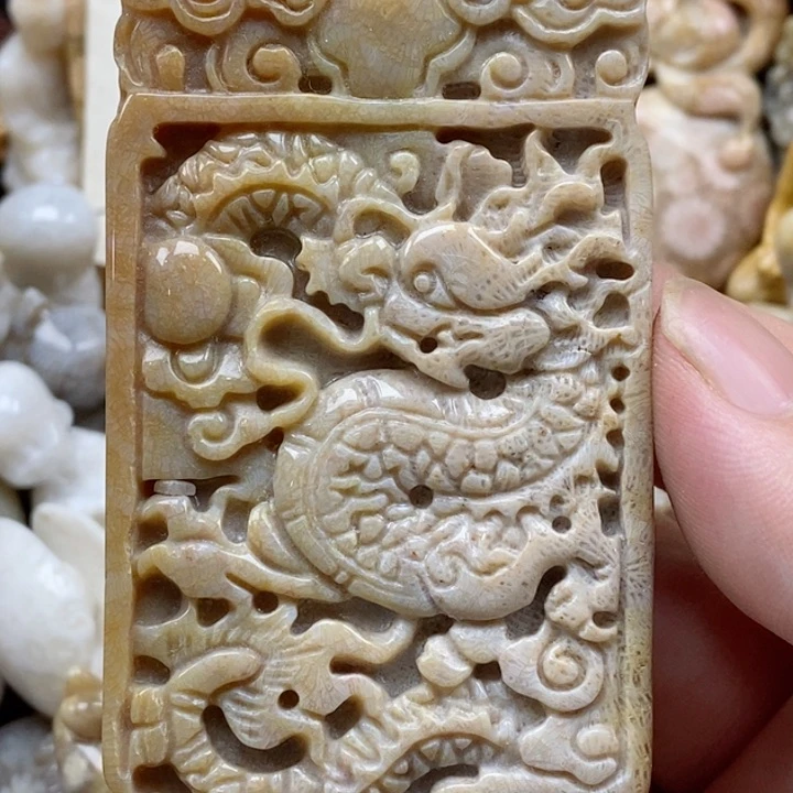 颈饰未镶嵌硅化珊瑚（珊瑚玉）有瑕