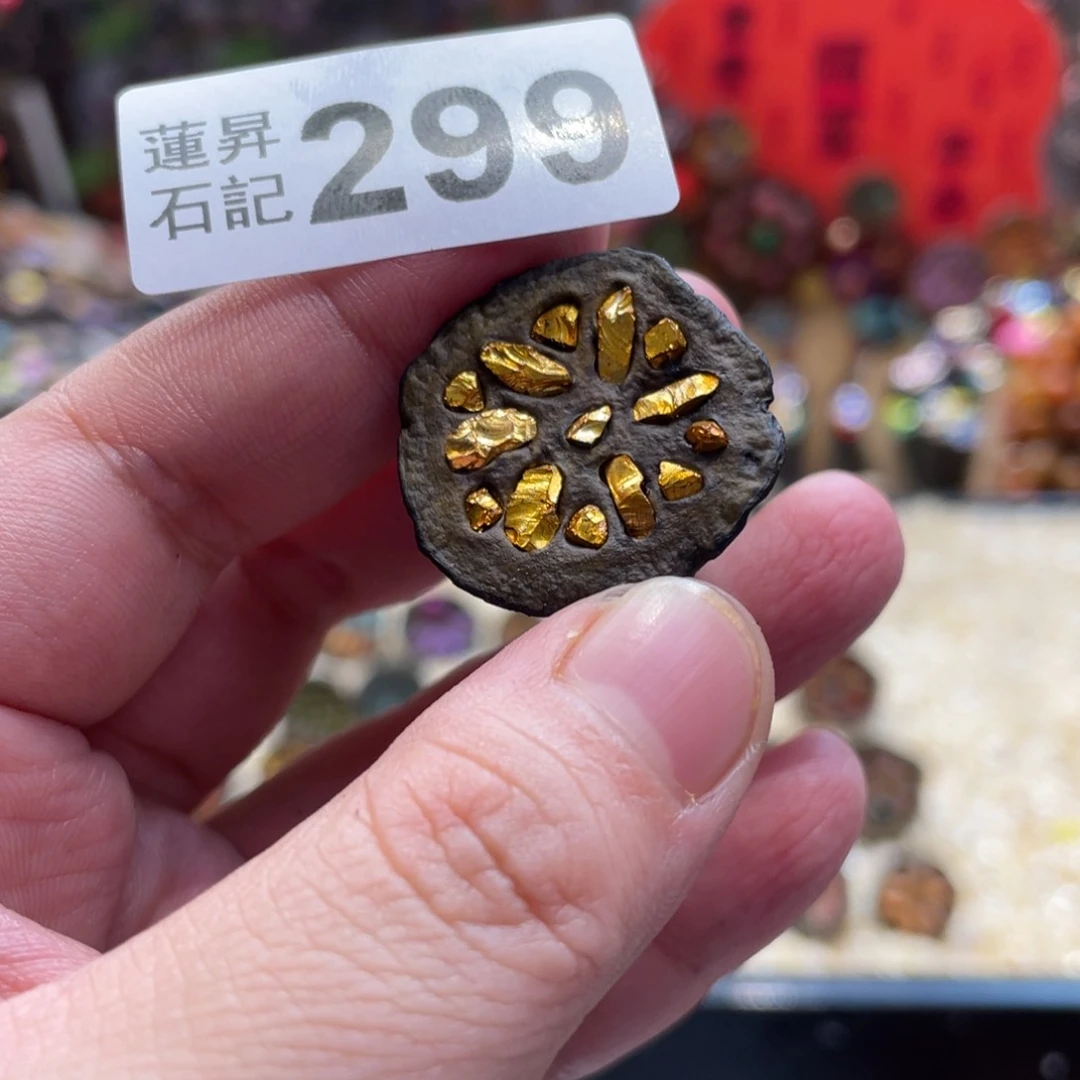 核桃木/黑胡桃（胡桃木）珊***游299