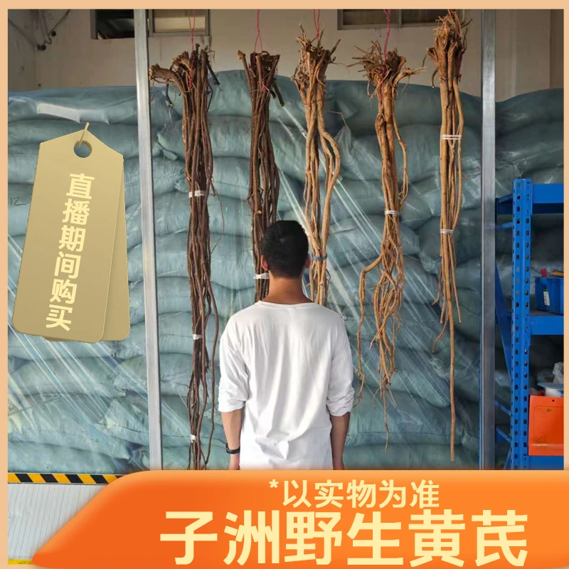子洲黄芪7到10年仿野生黄芪枝条中短大枝条煲汤泡酒可自己随心切