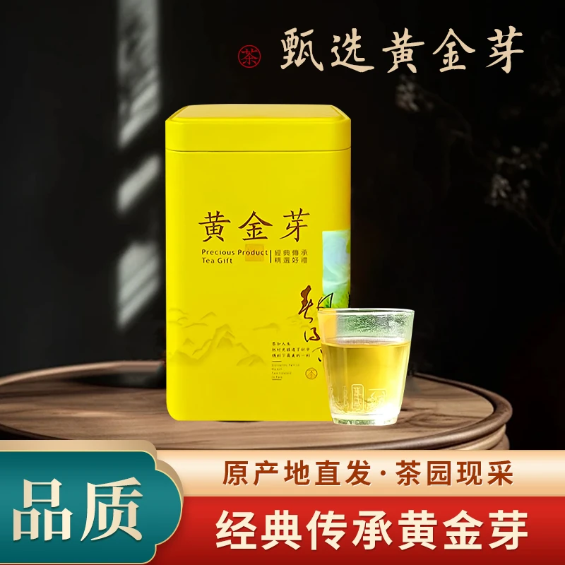 安吉雨前黄金芽浓香型豆香味耐泡绿茶茶叶2025新茶