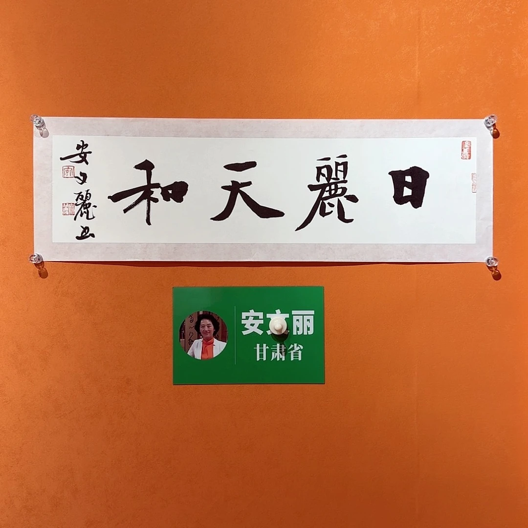书法赤**心安老师书法作品