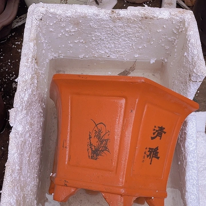 紫砂25清雅红六方花盆