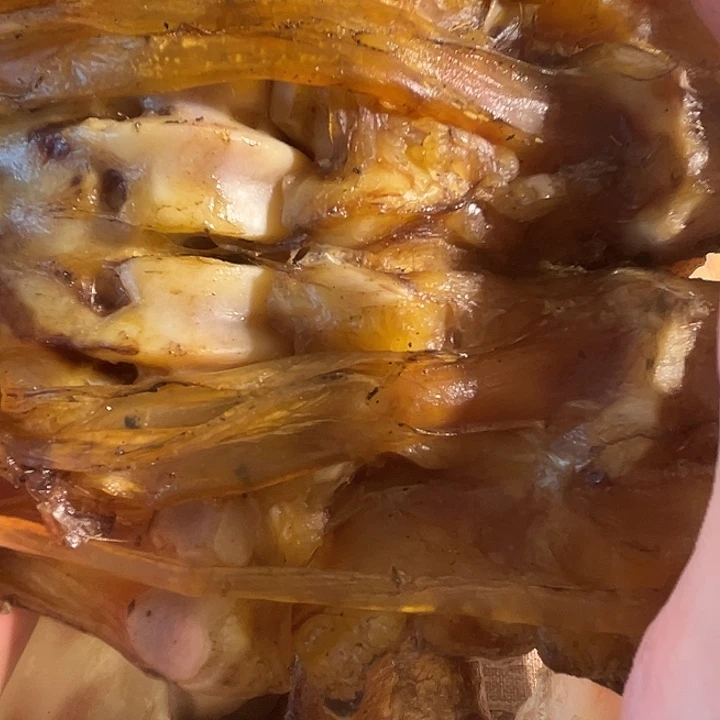 缘***！ZXhu整个带筋一半大