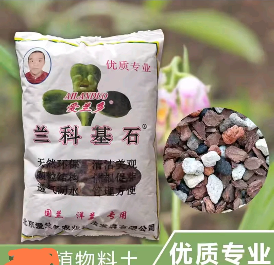 兰花基石兰花君子兰沥水透气不烂根生根快（拍二发三）