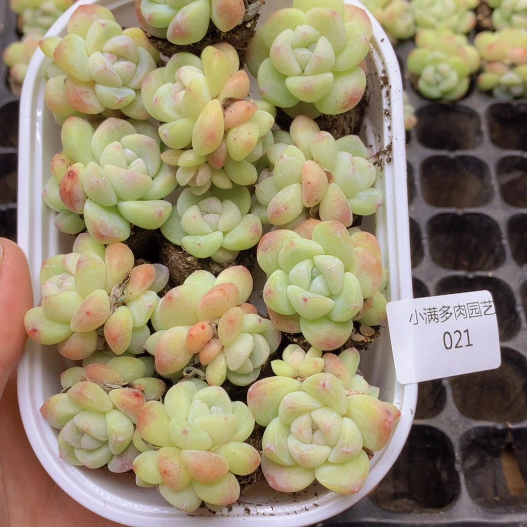 我要去买东西吃了021