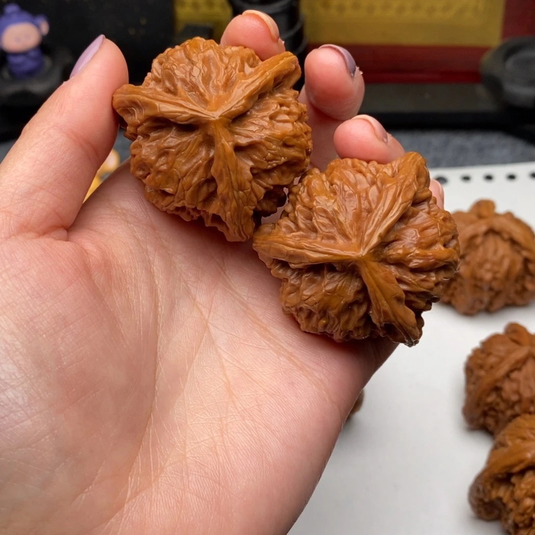 光**架白狮子1111111