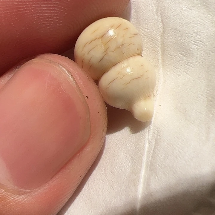 玻璃颈饰你在一起的