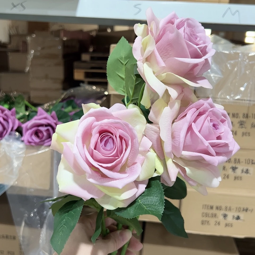 3枝紫绿色卡尔手感玫瑰