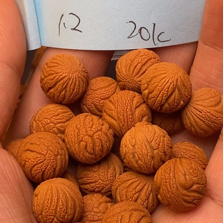 吊坠桃核秦岭龙纹桃核12尺寸