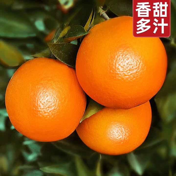 【秭归脐橙】正宗秭归脐橙新鲜水果橙子现摘皮薄爆汁手剥甜