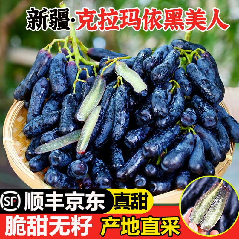 现货明日达【基地直采】LM新疆黑美人葡萄新鲜当季水果金手指无籽黑提0.5-4斤新疆维吾尔自治区