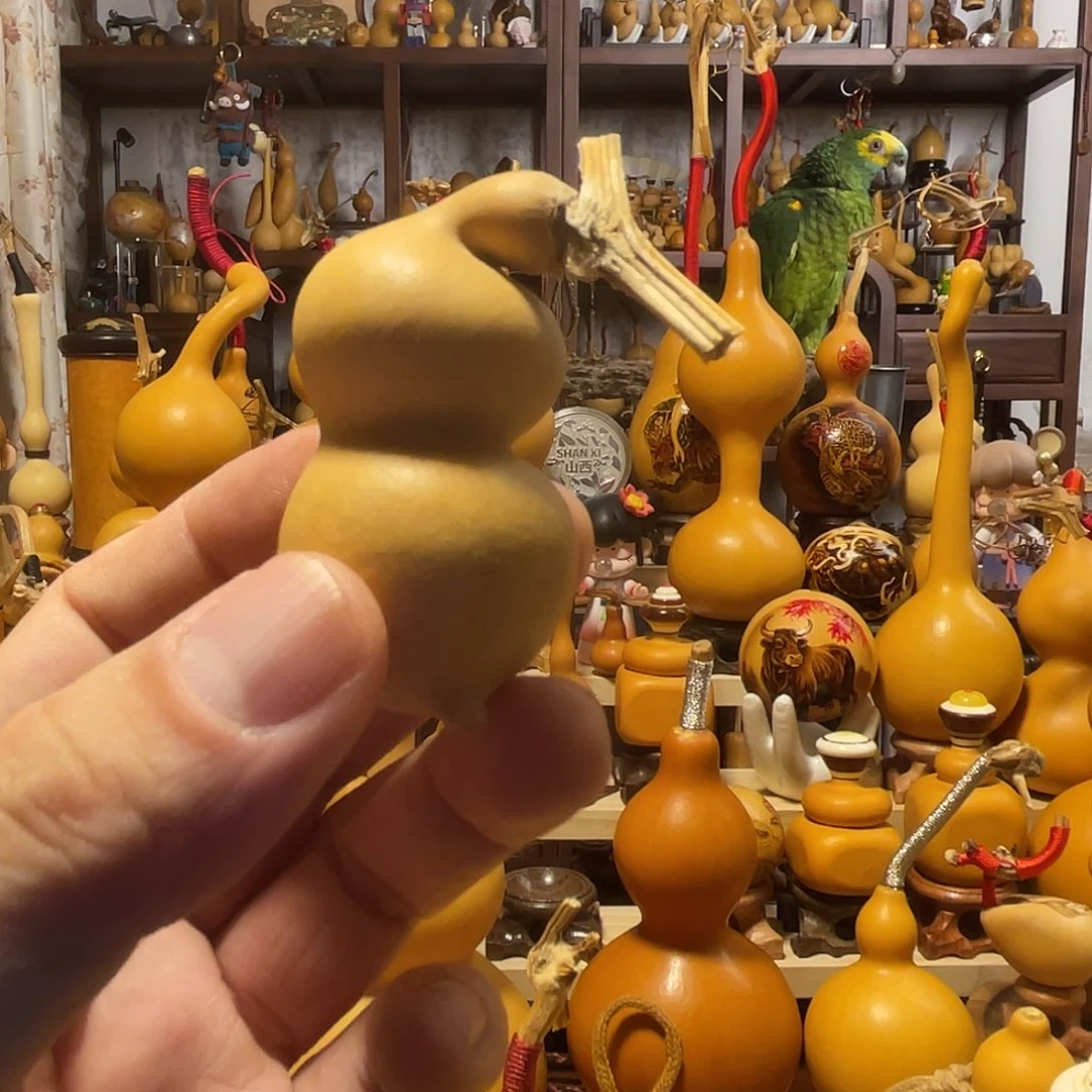 红***日葫芦山西铁皮葫芦