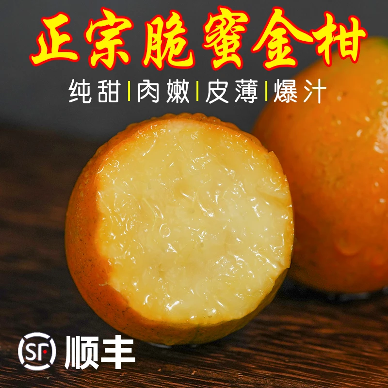 顺丰包邮广西融安脆蜜金柑第三代当季水果金桔鲜果金橘纯甜整箱
